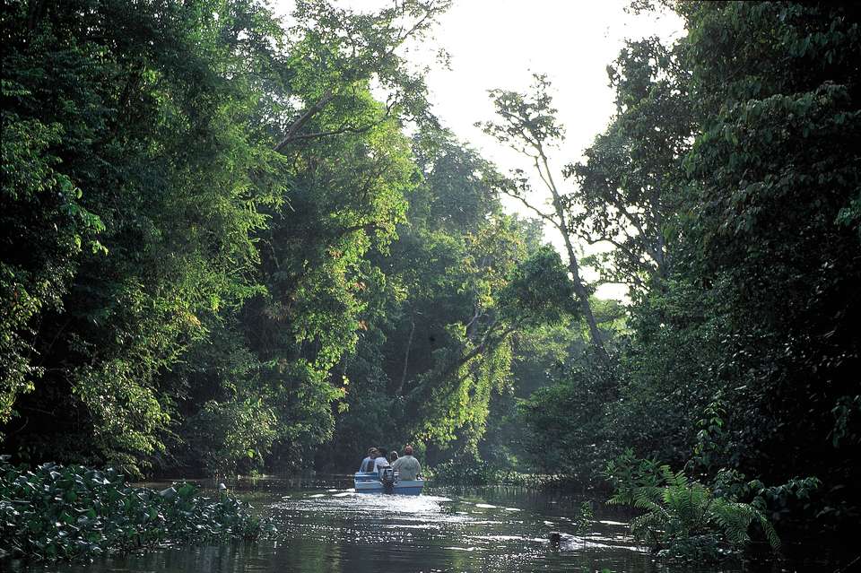 Borneo Wildlife Discoverer - Exodus Adventure Travels - Malaysia