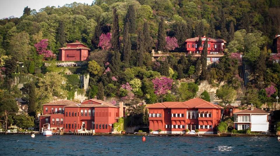 Bosphorus Cruise Half Day Morning - Istanbul Walks - Turkey - Image 3