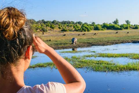 Road Tour: Botswana Adventure