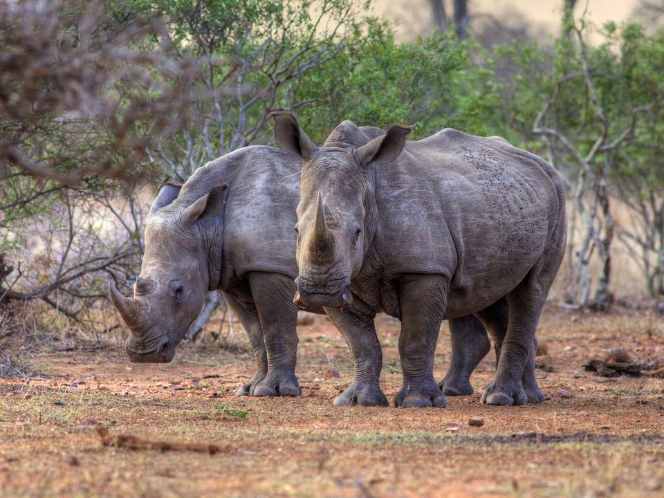 Botswana Adventure & Falls Northbound - 12 days - On The Go Tours - South Africa - Image 2