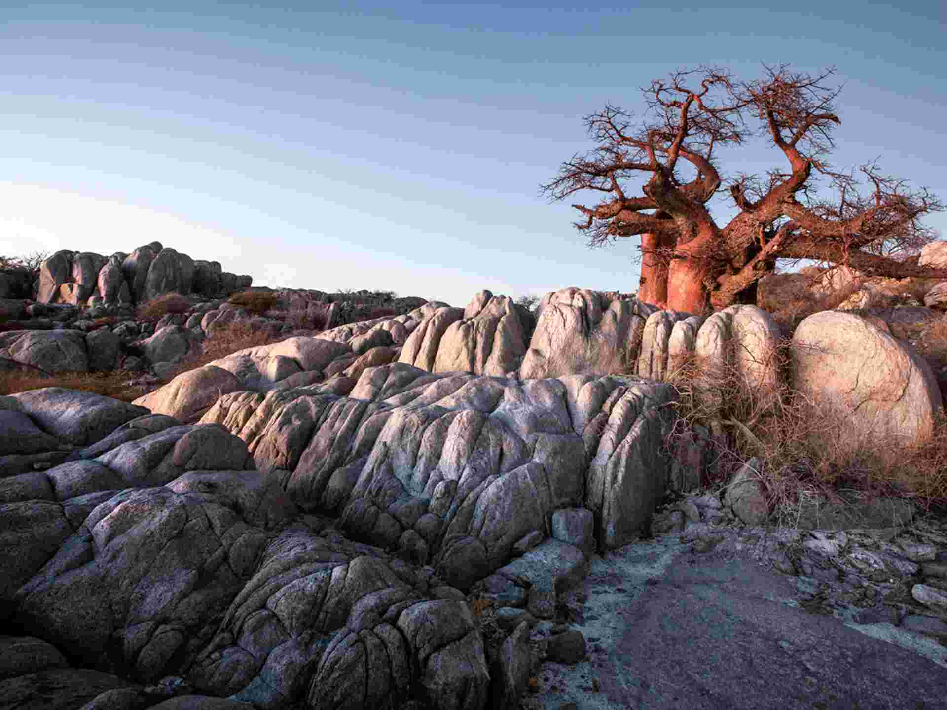 Botswana and Falls Overland: Wildlife Walks & Safari Drives