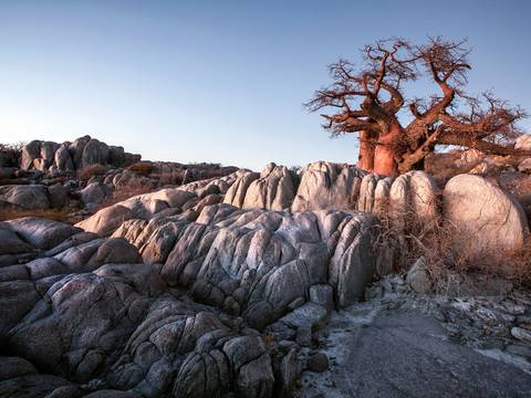 Africa Explorer Tour: Botswana And Falls Overland: Wildlife Walks & Safari Drives