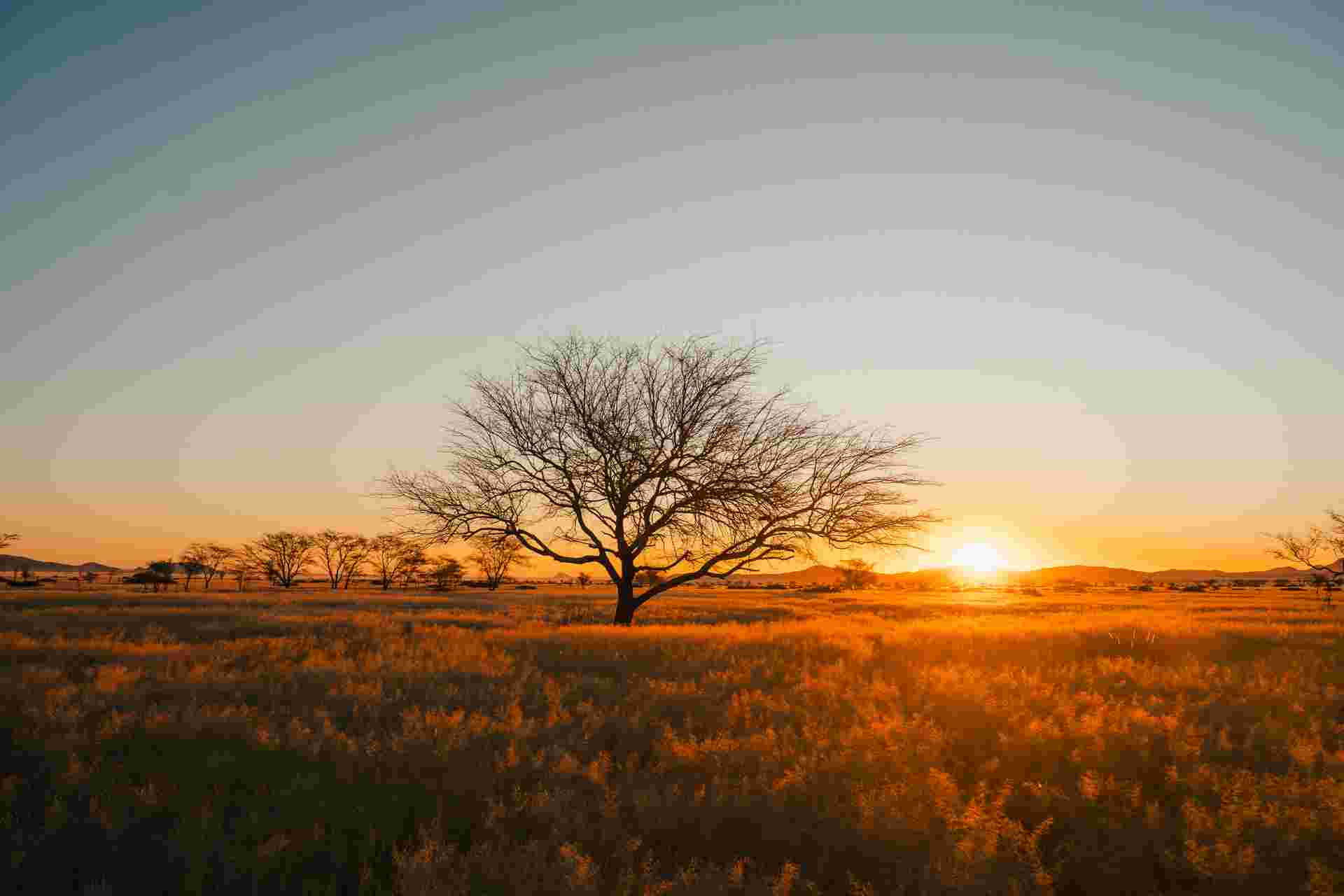 Botswana & Namibia: Delta & Dunes