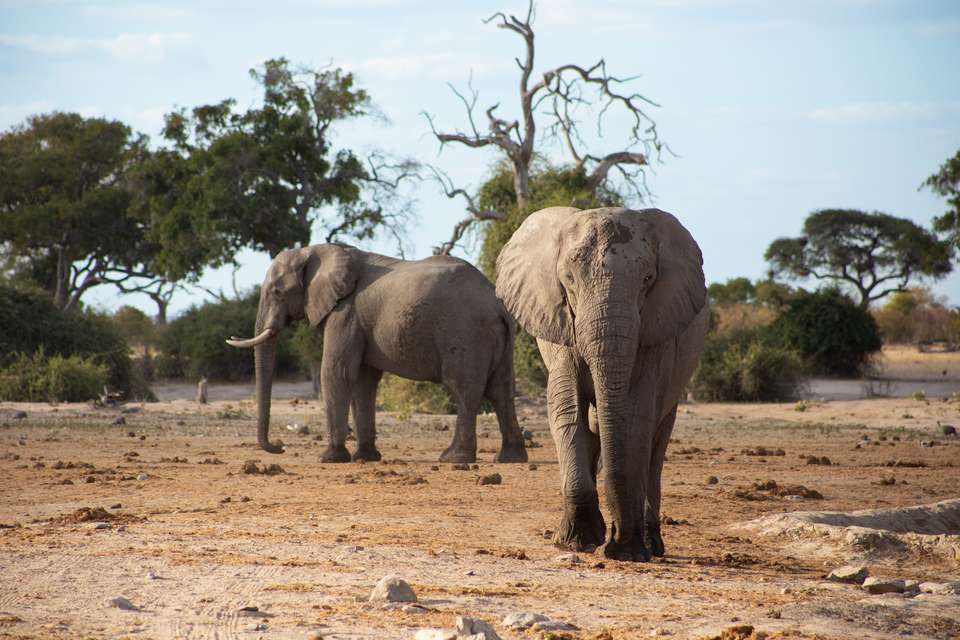 Botswana & Namibia: Delta & Dunes - Exodus Adventure Travels - Botswana