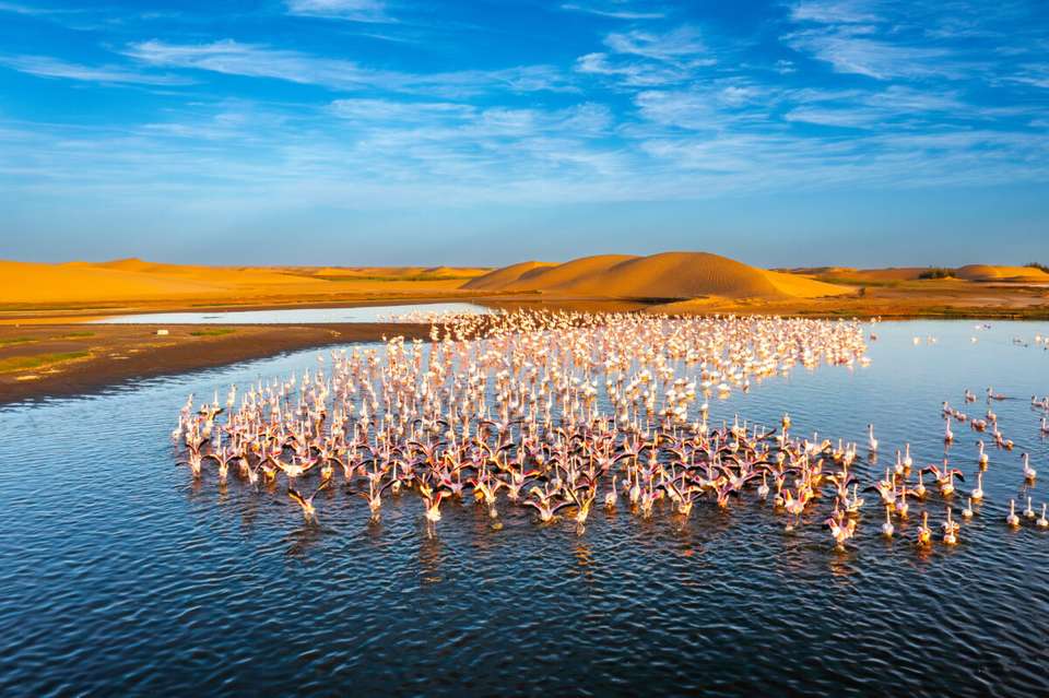 Botswana & Namibia: Delta & Dunes - Exodus Adventure Travels - Botswana