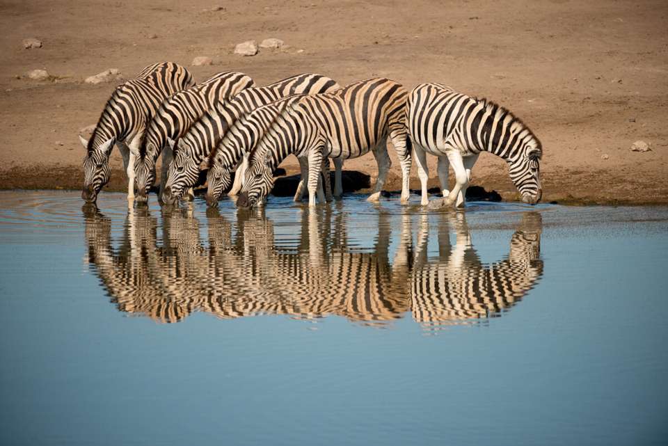 Botswana & Namibia: Delta & Dunes - Exodus Adventure Travels - Botswana