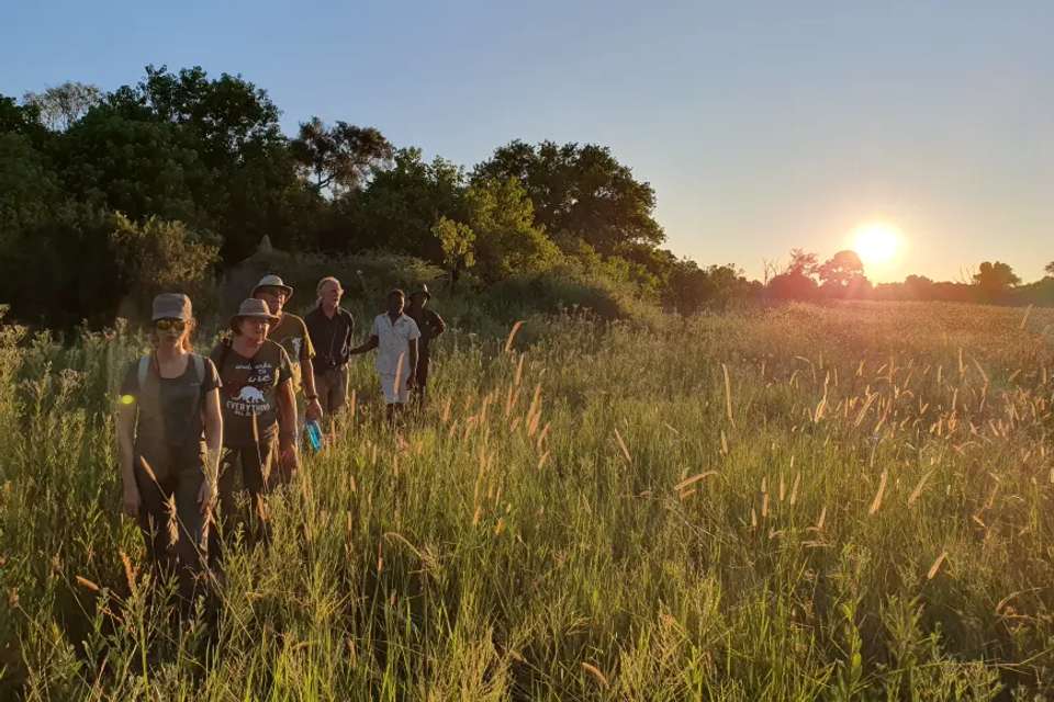 Botswana & Namibia: Delta & Dunes - Exodus Adventure Travels - Botswana - Image 3