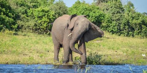 Botswana & Victoria Falls Adventure - Fall Tours