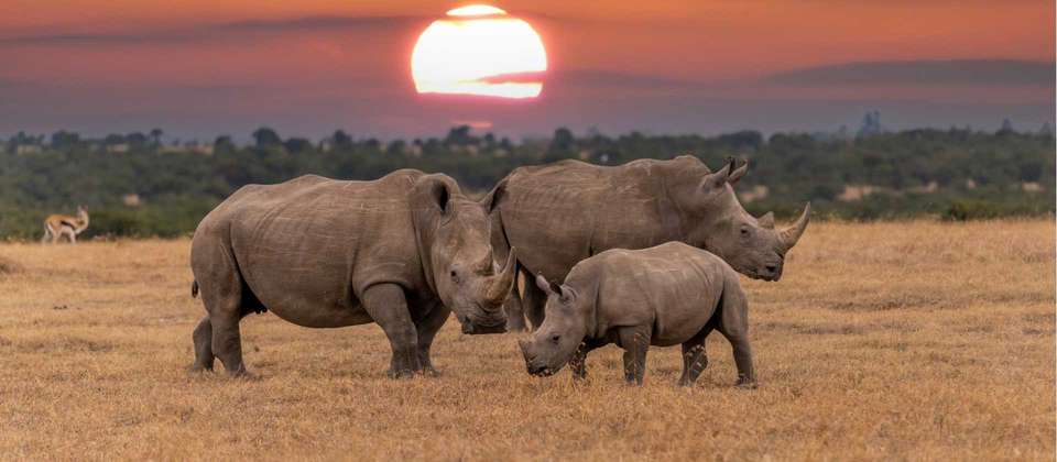 Botswana and Zimbabwe Explorer - World Expeditions - South Africa - Image 2