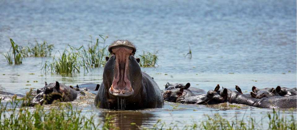 Botswana and Zimbabwe Explorer - World Expeditions - South Africa - Image 5