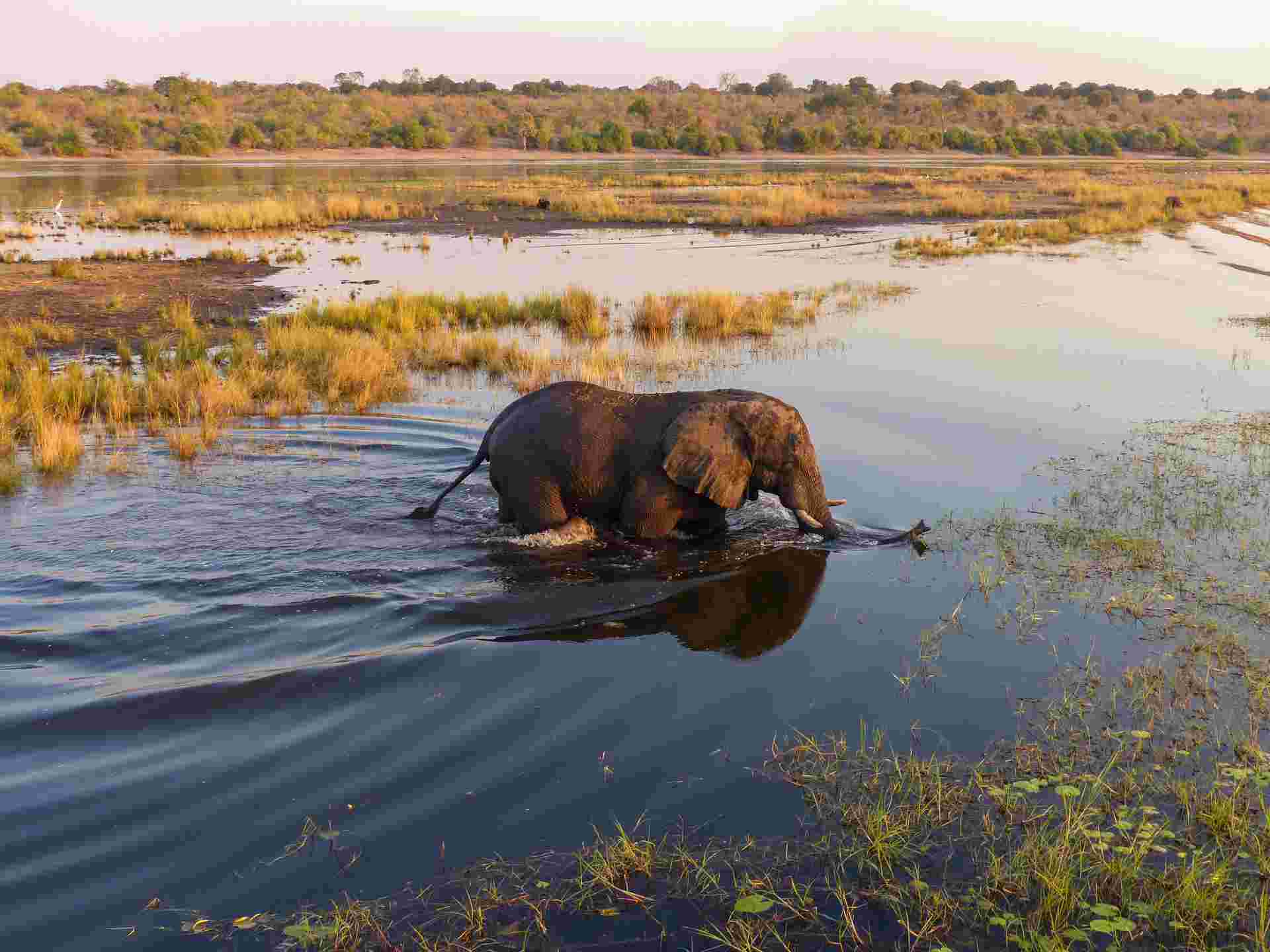 Botswana & Zimbabwe Lodge Safari