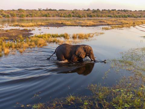 Africa Wildlife Safaris And Game Drives Tour: Botswana & Zimbabwe Lodge Safari