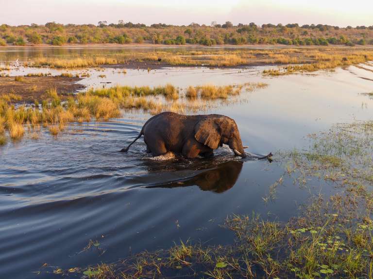 Botswana & Zimbabwe Lodge Safari trip - alternative tour available