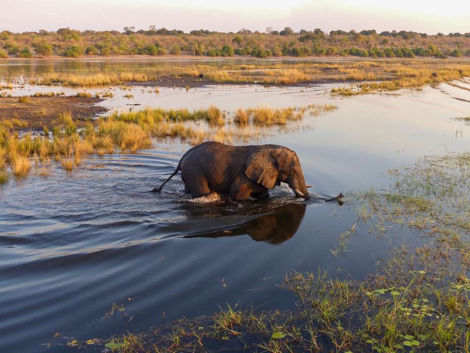 Botswana & Zimbabwe Lodge Safari - Exodus Adventure Travels - Zimbabwe - Image 1