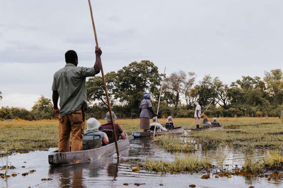 Botswana & Zimbabwe Lodge Safari - Exodus Adventure Travels - Zimbabwe - Image 24