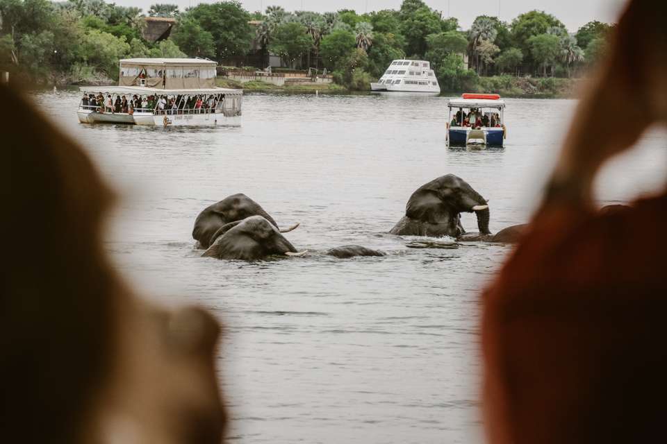 Botswana & Zimbabwe Lodge Safari - Exodus Adventure Travels - Zimbabwe - Image 21