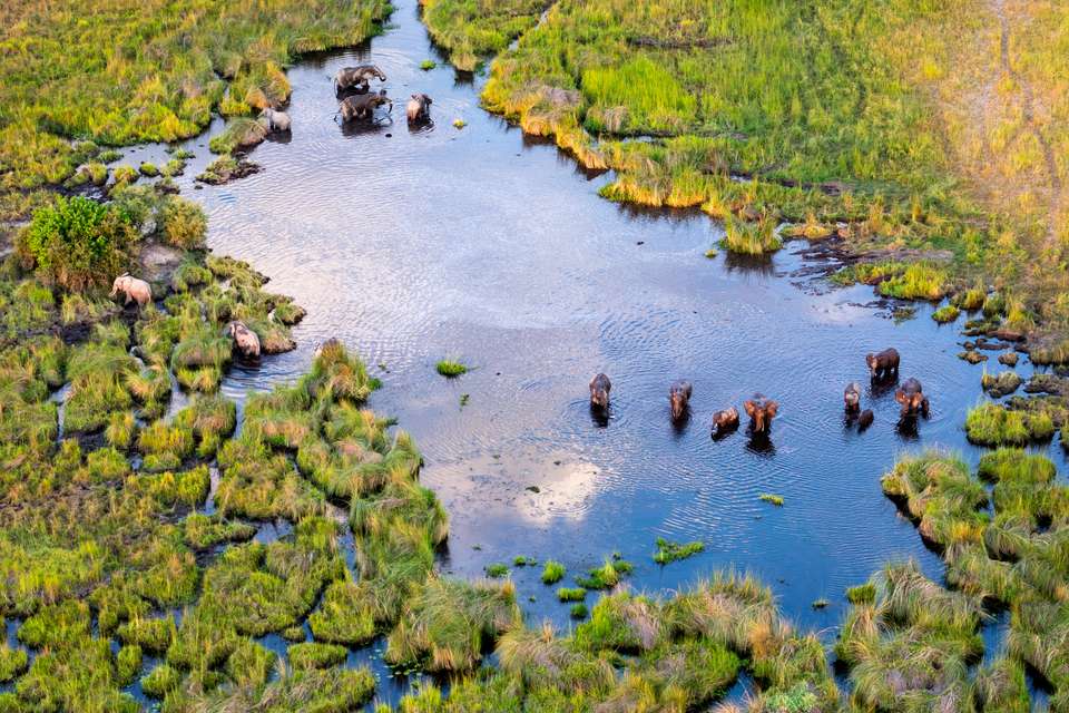 Botswana & Zimbabwe Lodge Safari - Exodus Adventure Travels - Zimbabwe - Image 19