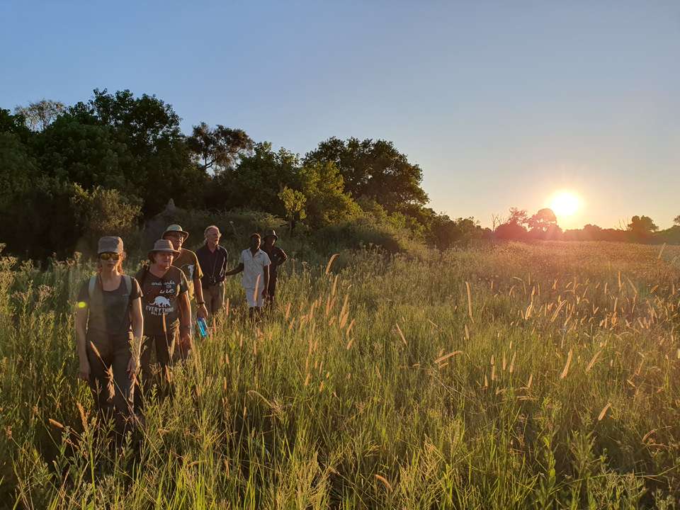 Botswana & Zimbabwe Lodge Safari - Exodus Adventure Travels - Zimbabwe - Image 7