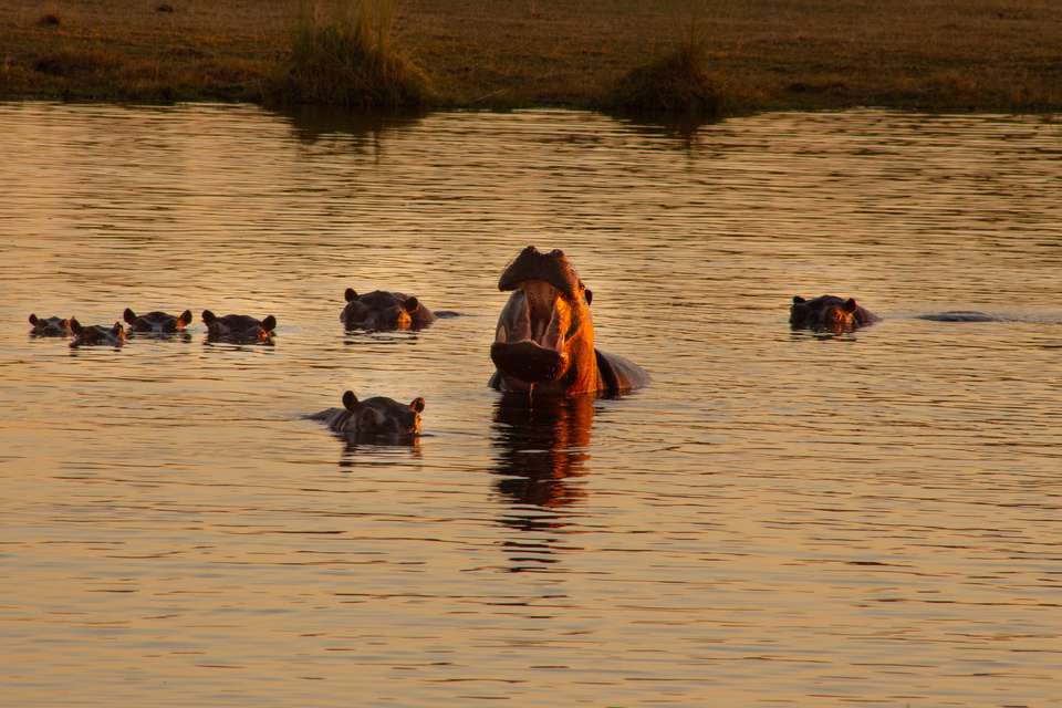 Botswana & Zimbabwe Lodge Safari - Exodus Adventure Travels - Zimbabwe - Image 6