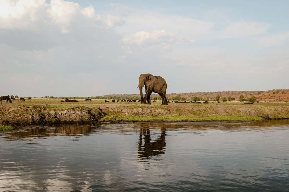 Botswana & Zimbabwe Lodge Safari - Exodus Adventure Travels - Zimbabwe - Image 4