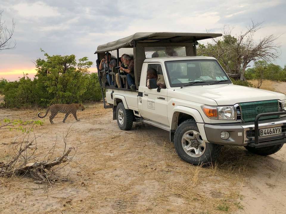 Botswana & Zimbabwe Uncovered - 13 days - undefined - Image 2