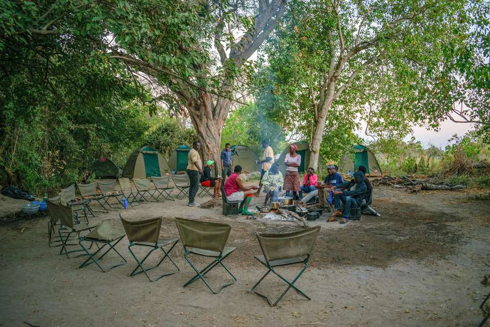 Botswana Family Safari with Teenagers - Intrepid Travel - Zimbabwe - Image 5