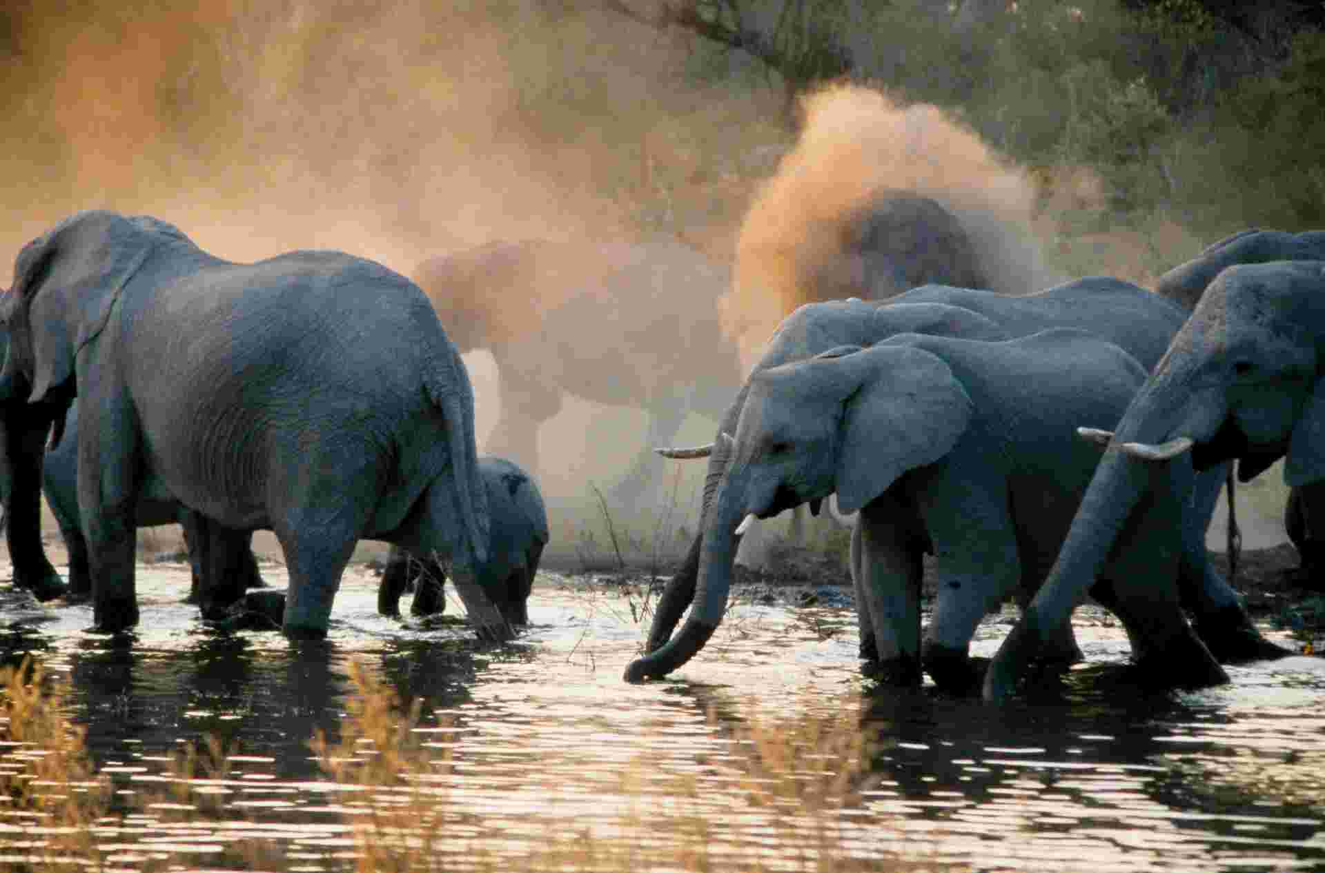 Botswana Highlights