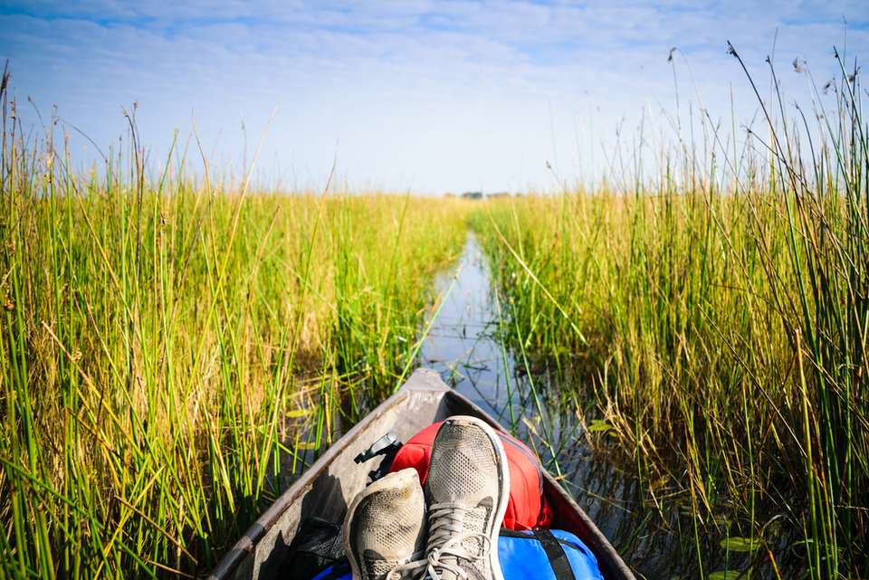 Botswana Highlights - Intrepid Travel - Zimbabwe - Image 3
