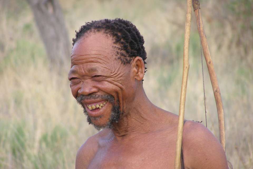 Botswana Highlights - Intrepid Travel - Zimbabwe - Image 4