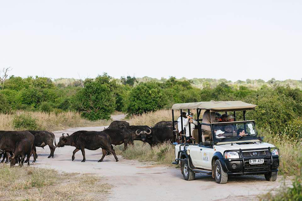 Botswana Highlights - Intrepid Travel - Zimbabwe - Image 6