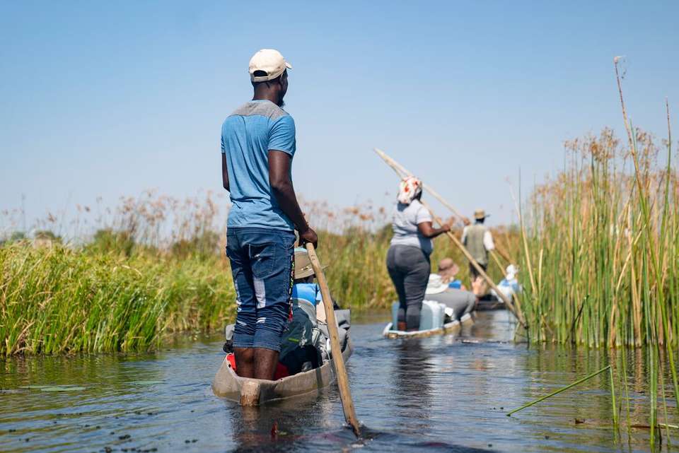 Botswana Highlights - Intrepid Travel - Zimbabwe - Image 10