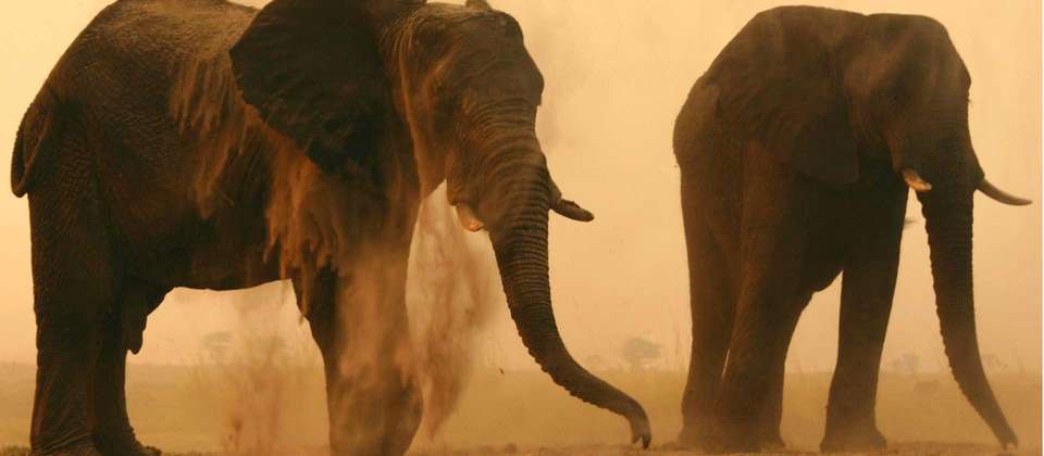 Botswana Leopard Trail & Kalahari - World Expeditions - Botswana - Image 10