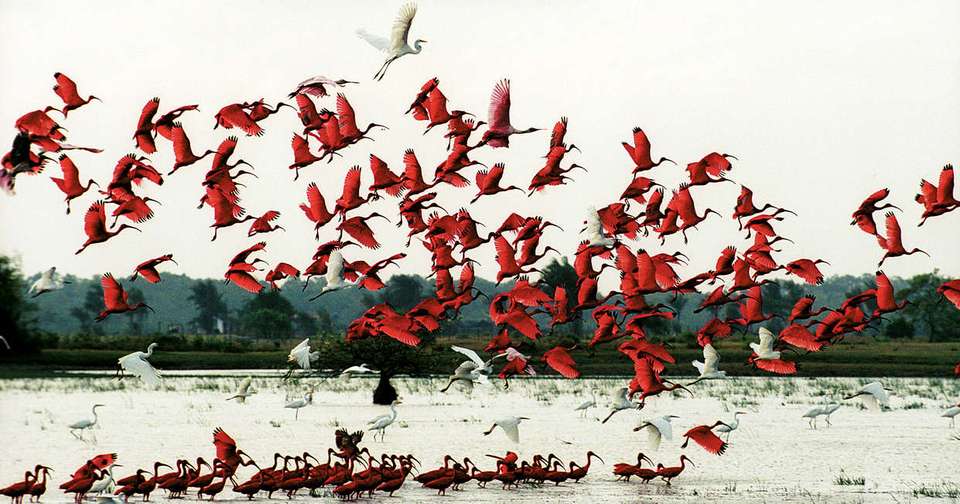 Brazilian Amazon by Boat - Explore - Brazil - Image 5