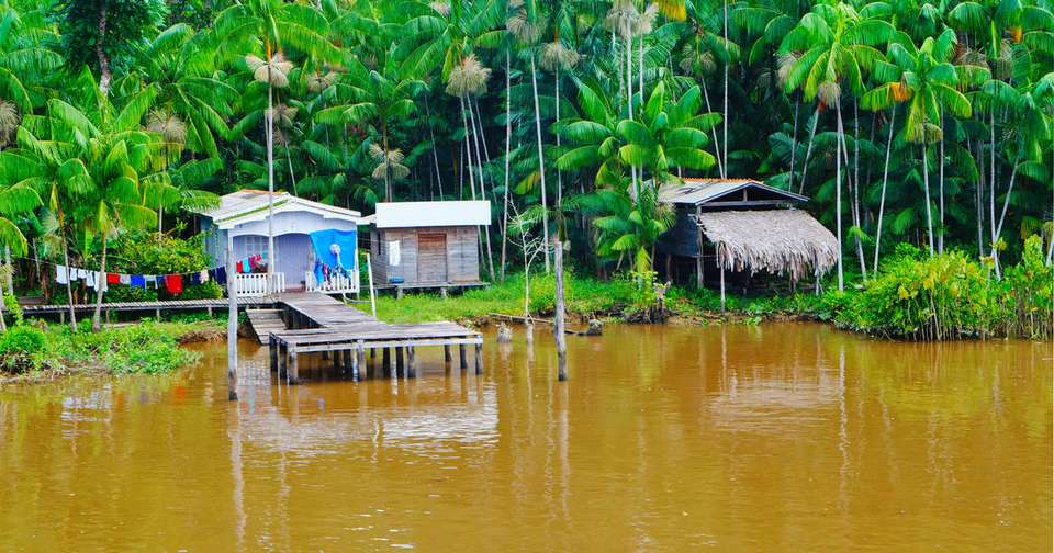 Brazilian Amazon by Boat - Explore - Brazil - Image 6