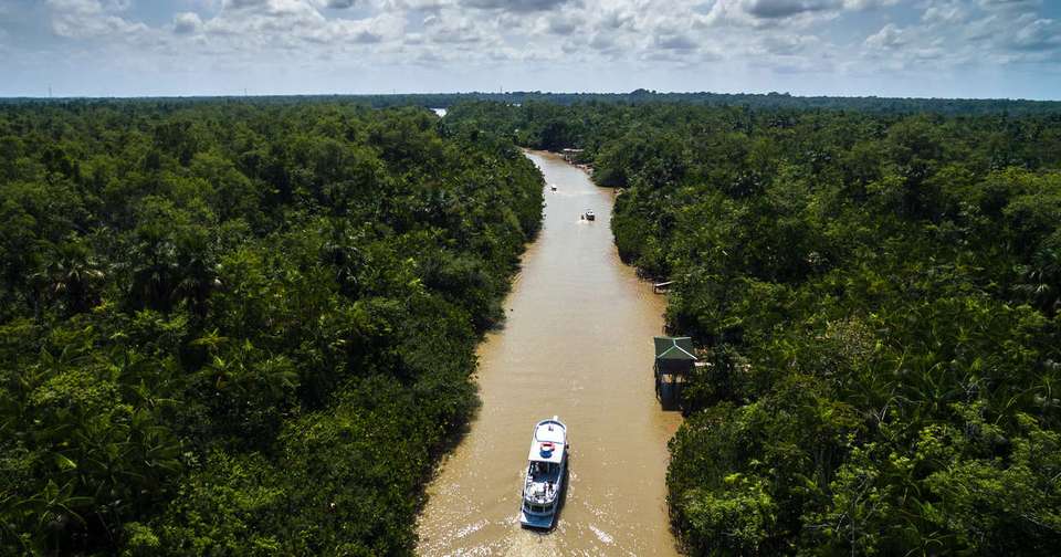 Brazilian Amazon by Boat - Explore - Brazil - Image 12