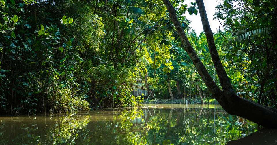 Brazilian Amazon by Boat - Explore - Brazil - Image 14