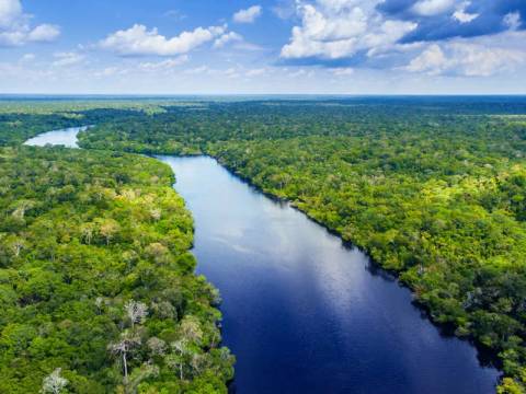 Active And Outdoor Tour: Brazilian Amazon By Boat