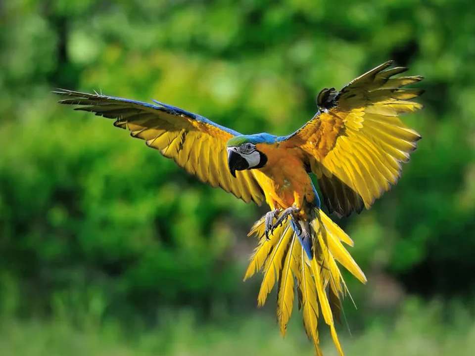 Image 6 of 19
