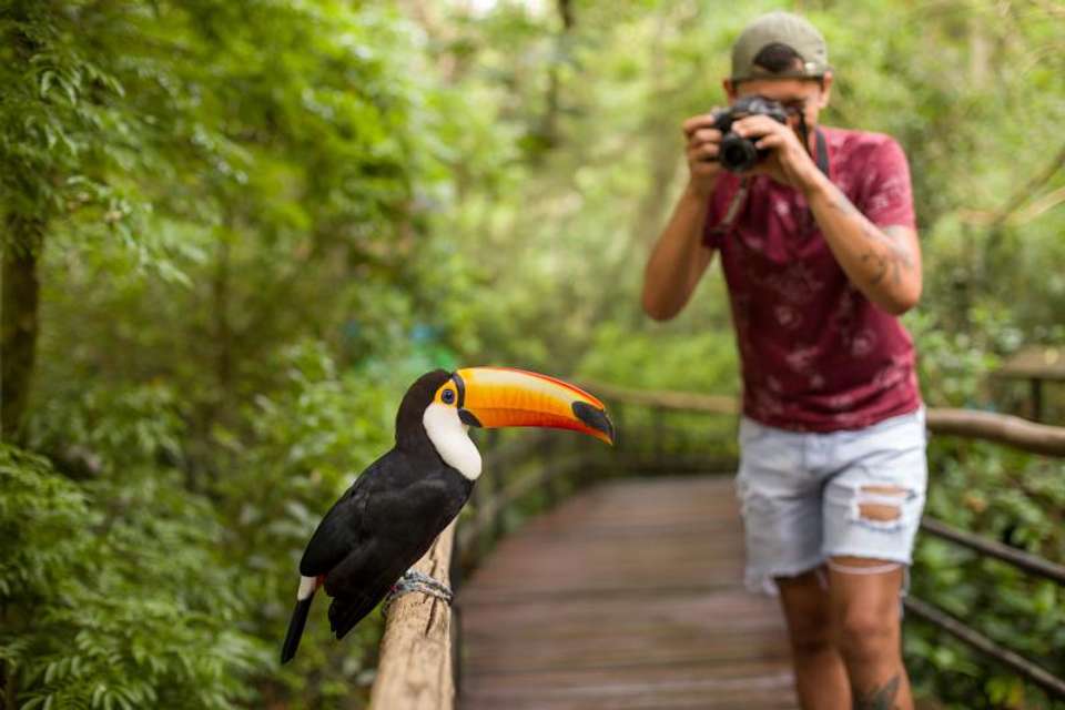 Brazilian Falls With Bird Park - Tangol Tours - Brazil - Image 9