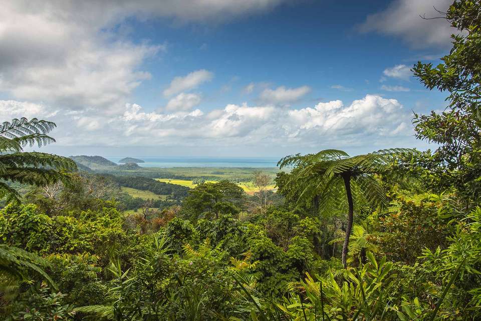 Brisbane to Cairns Adventure - Intrepid Travel - Australia - Image 2