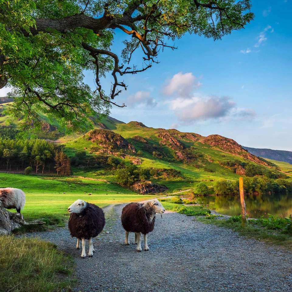 Britain and Ireland Delight - Costsaver - England - Image 6