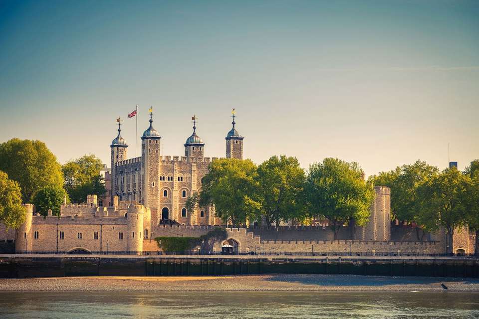 British Royale - Luxury Gold - England - Image 5