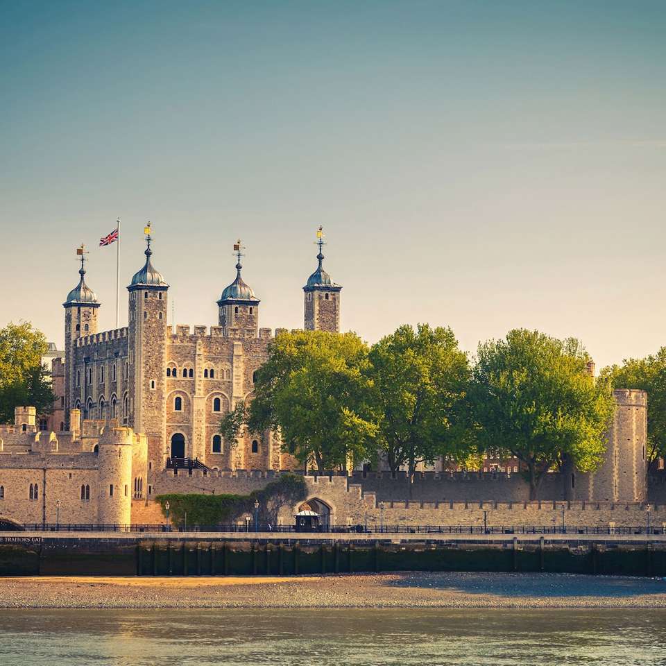 British Royale - Luxury Gold - England - Image 5