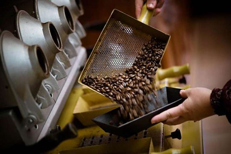 Britt Coffee Tour From San José trip - alternative tour available