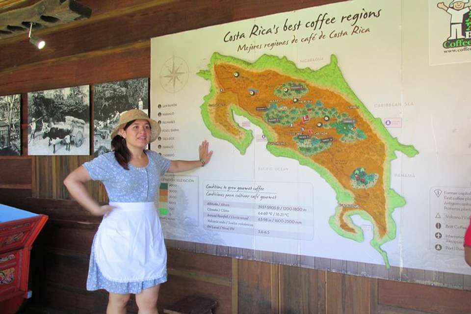 Britt Coffee Tour From San José - undefined - Image 4