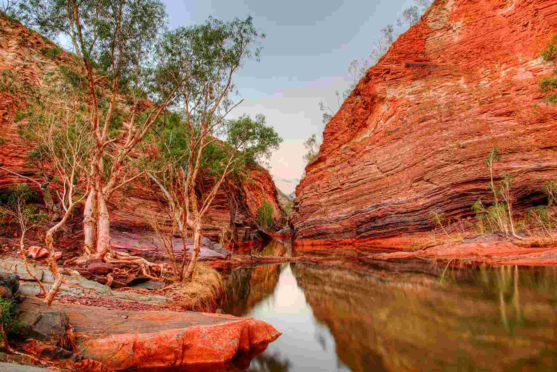 Broome to Perth Safari
