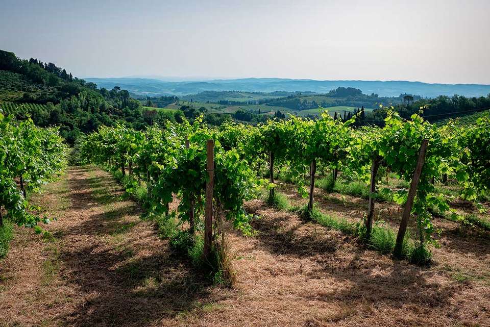 Budapest to Rome - Intrepid Travel - Hungary