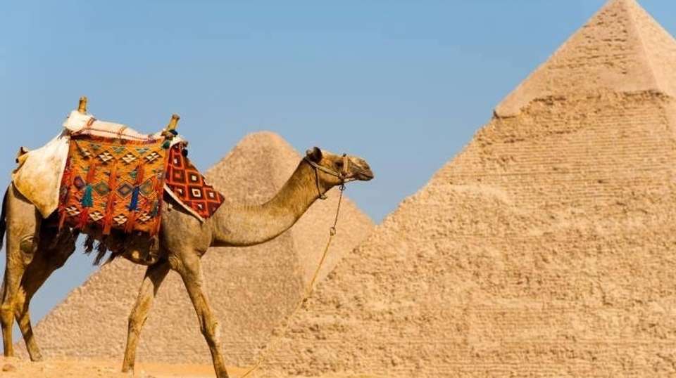 BUDGET Day Tour to Cairo from Hurghada by Air - Emo Tours - Egypt - Image 3