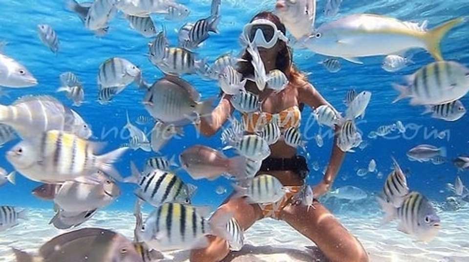 Budget Hurghada Tours - Snorkeling in Mahmya Island - undefined - Image 2
