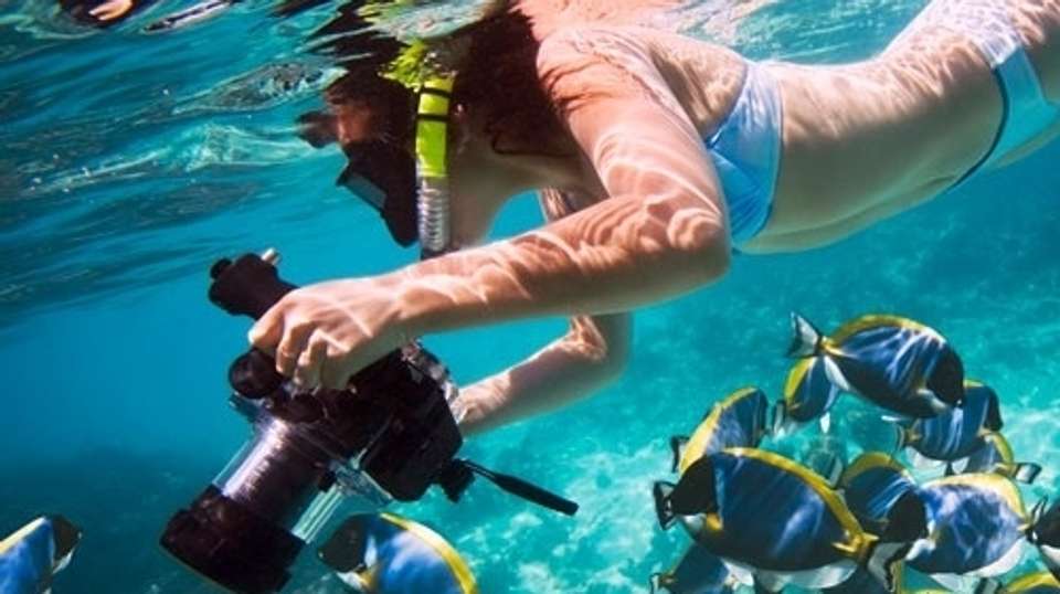 Budget Hurghada Tours - Snorkeling in Mahmya Island - undefined - Image 1